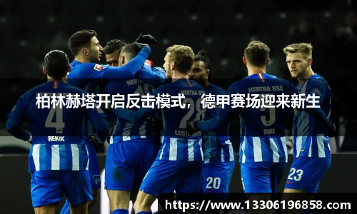 立博官网