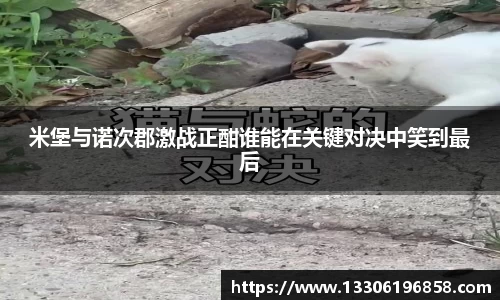 立博官网